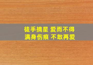 徒手摘星 爱而不得 满身伤痕 不敢再爱