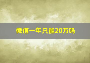 微信一年只能20万吗