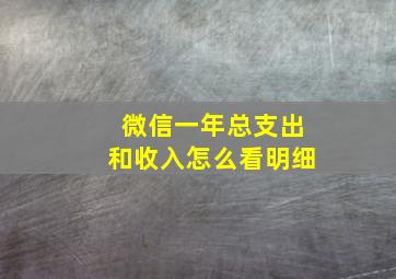 微信一年总支出和收入怎么看明细