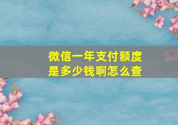 微信一年支付额度是多少钱啊怎么查