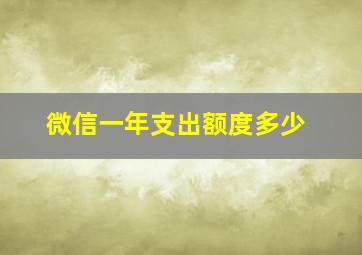 微信一年支出额度多少