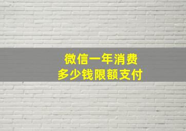 微信一年消费多少钱限额支付