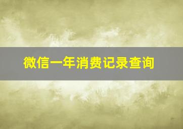 微信一年消费记录查询