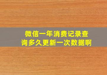 微信一年消费记录查询多久更新一次数据啊