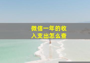 微信一年的收入支出怎么查