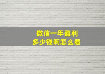 微信一年盈利多少钱啊怎么看