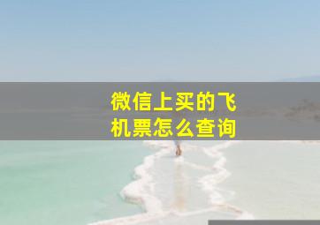 微信上买的飞机票怎么查询