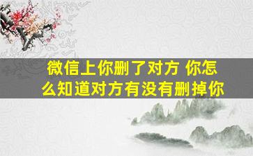 微信上你删了对方 你怎么知道对方有没有删掉你