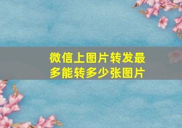 微信上图片转发最多能转多少张图片