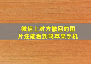 微信上对方撤回的图片还能看到吗苹果手机