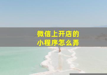 微信上开店的小程序怎么弄