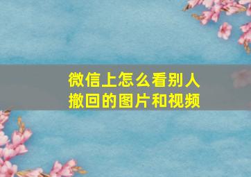 微信上怎么看别人撤回的图片和视频