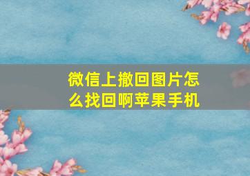 微信上撤回图片怎么找回啊苹果手机