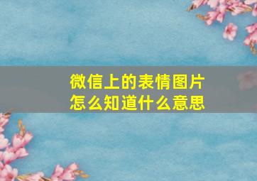 微信上的表情图片怎么知道什么意思