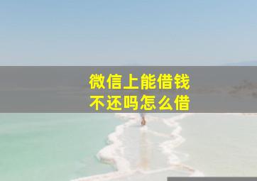 微信上能借钱不还吗怎么借