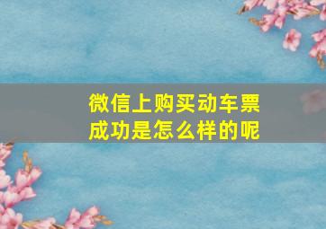 微信上购买动车票成功是怎么样的呢