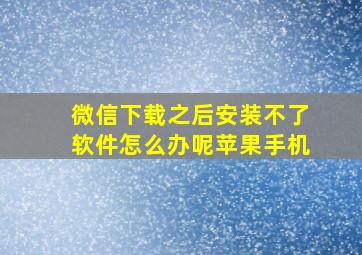 微信下载之后安装不了软件怎么办呢苹果手机