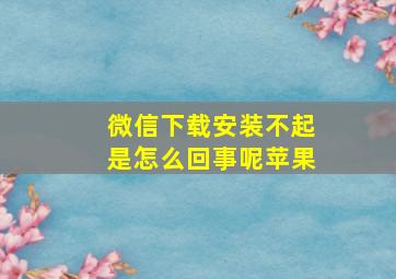 微信下载安装不起是怎么回事呢苹果