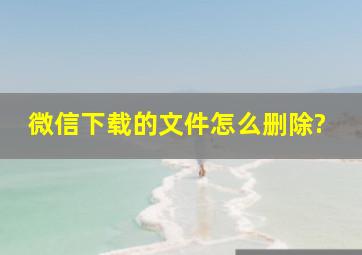 微信下载的文件怎么删除?