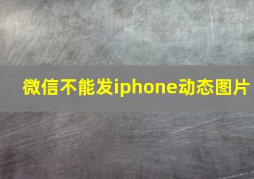 微信不能发iphone动态图片