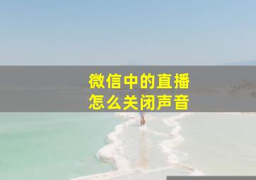 微信中的直播怎么关闭声音