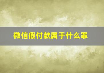 微信假付款属于什么罪