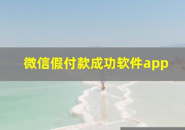 微信假付款成功软件app