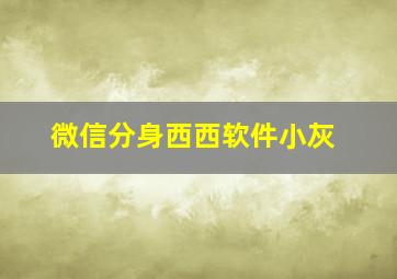 微信分身西西软件小灰