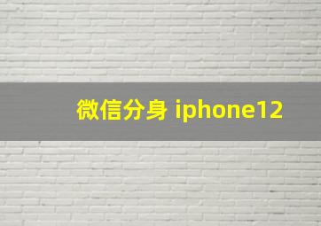 微信分身 iphone12