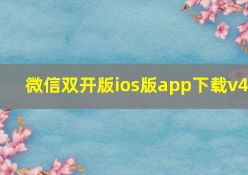 微信双开版ios版app下载v4