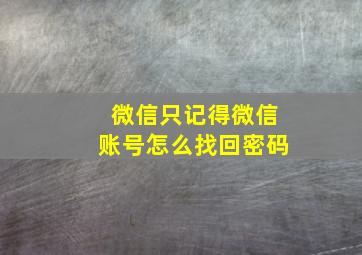 微信只记得微信账号怎么找回密码