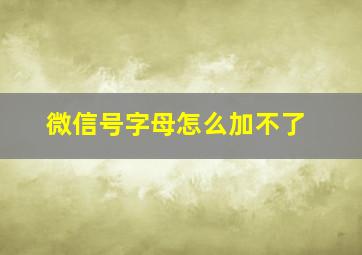 微信号字母怎么加不了