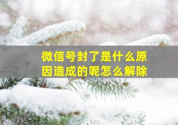 微信号封了是什么原因造成的呢怎么解除