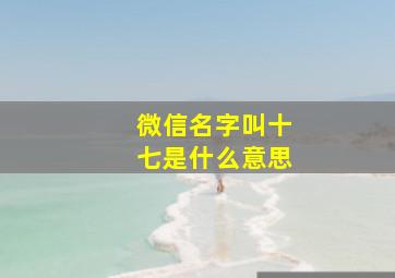 微信名字叫十七是什么意思