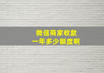 微信商家收款一年多少额度啊