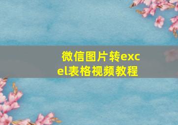 微信图片转excel表格视频教程