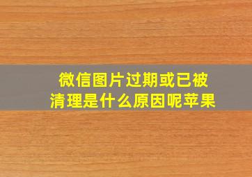 微信图片过期或已被清理是什么原因呢苹果