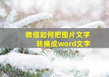 微信如何把图片文字转换成word文字