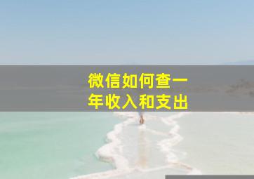 微信如何查一年收入和支出