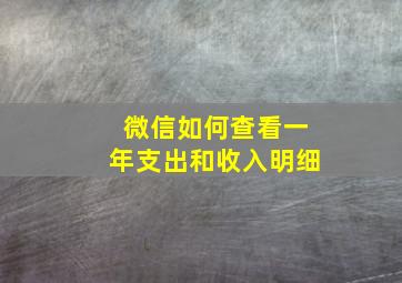 微信如何查看一年支出和收入明细