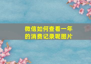 微信如何查看一年的消费记录呢图片