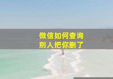 微信如何查询别人把你删了