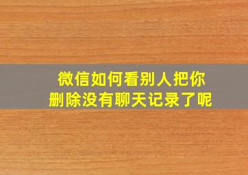 微信如何看别人把你删除没有聊天记录了呢