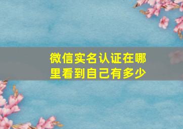 微信实名认证在哪里看到自己有多少