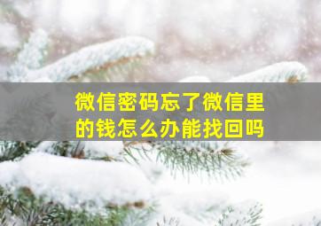 微信密码忘了微信里的钱怎么办能找回吗