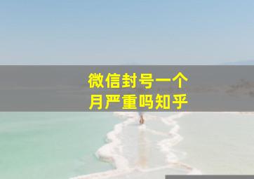 微信封号一个月严重吗知乎