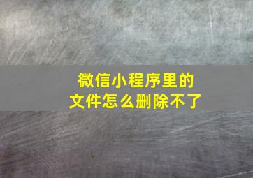 微信小程序里的文件怎么删除不了