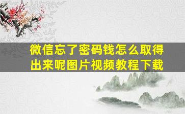 微信忘了密码钱怎么取得出来呢图片视频教程下载