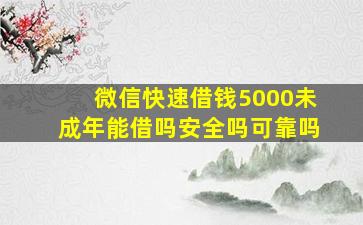 微信快速借钱5000未成年能借吗安全吗可靠吗