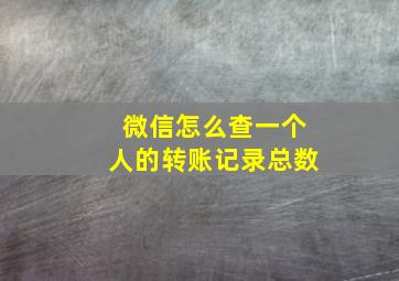 微信怎么查一个人的转账记录总数